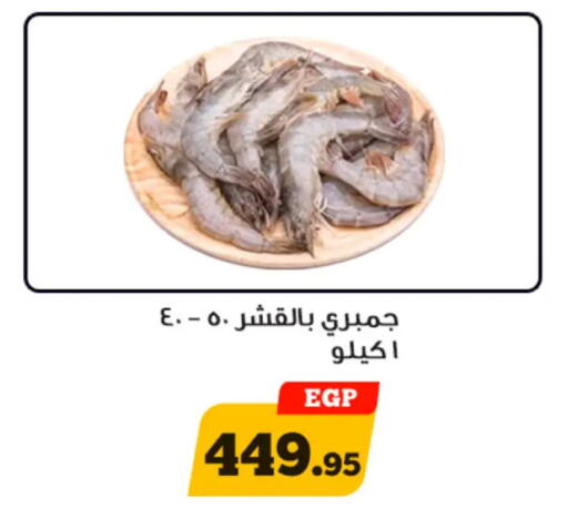 available at أولاد رجب in Egypt - القاهرة