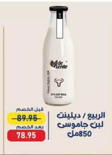 available at Exception Market in Egypt - Cairo