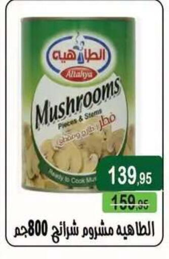 available at Mekkawy market  in Egypt - Cairo