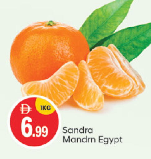 from Egypt available at TALAL MARKET in UAE - Abu Dhabi