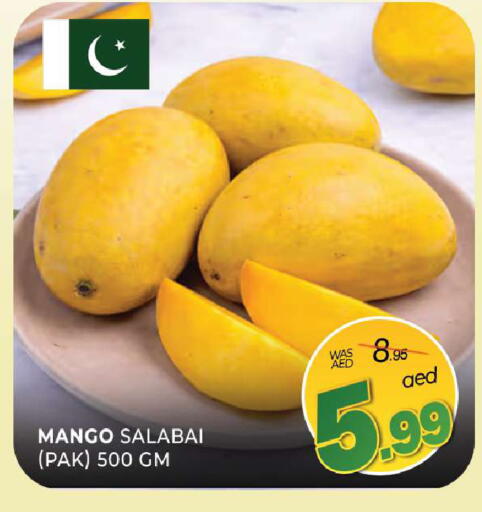 Mango available at المدينة in الإمارات العربية المتحدة , الامارات - الشارقة / عجمان