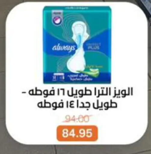 available at Beit El Gomla in Egypt - Cairo