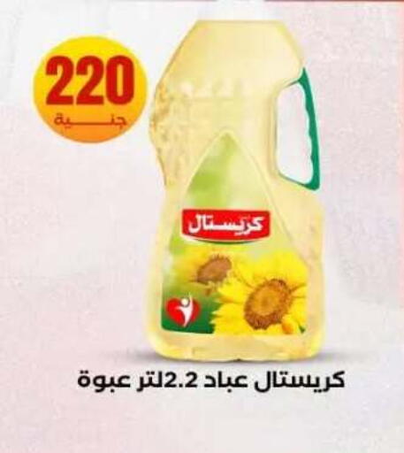 available at المحلاوي ستورز in Egypt - القاهرة