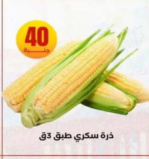 available at المحلاوي ستورز in Egypt - القاهرة