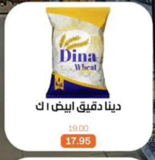 available at Beit El Gomla in Egypt - Cairo