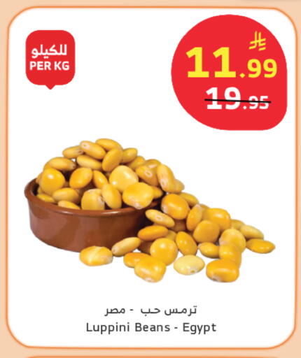 available at Al Raya in KSA, Saudi Arabia, Saudi - Najran