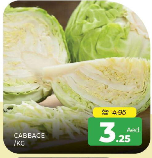 Cabbage available at المدينة in الإمارات العربية المتحدة , الامارات - الشارقة / عجمان