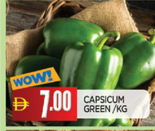 Capsicum available at المدينة in الإمارات العربية المتحدة , الامارات - الشارقة / عجمان