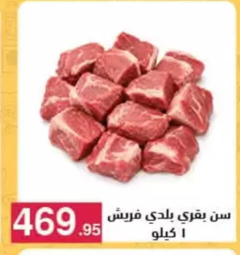 available at محمود الفار in Egypt - القاهرة