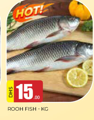 available at AL MADINA in UAE - Sharjah / Ajman