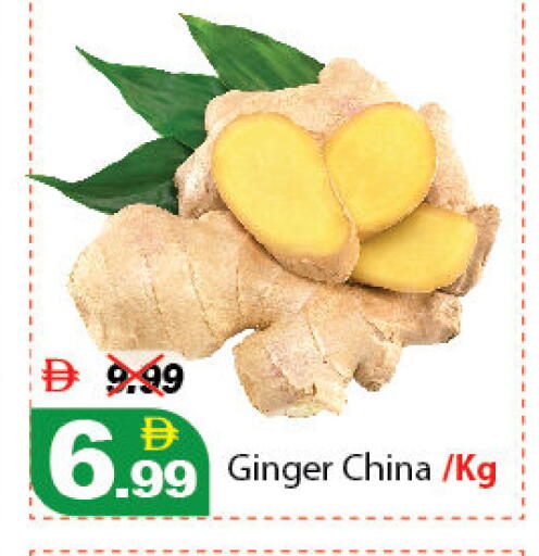 Ginger from China available at ديزرت فريش ماركت in الإمارات العربية المتحدة , الامارات - أبو ظبي