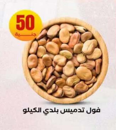 available at المحلاوي ستورز in Egypt - القاهرة