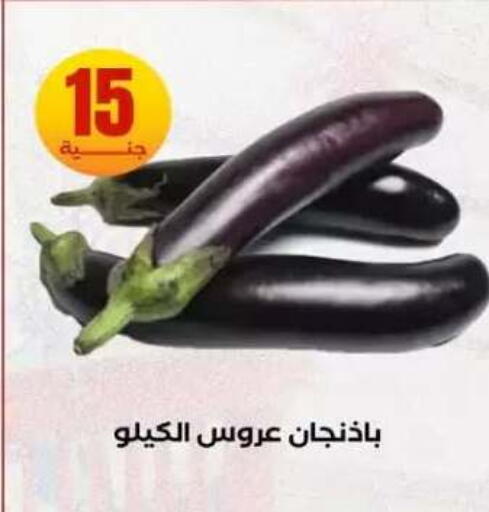 available at المحلاوي ستورز in Egypt - القاهرة