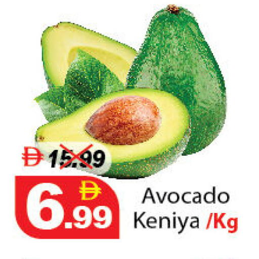 Avocado available at ديزرت فريش ماركت in الإمارات العربية المتحدة , الامارات - أبو ظبي