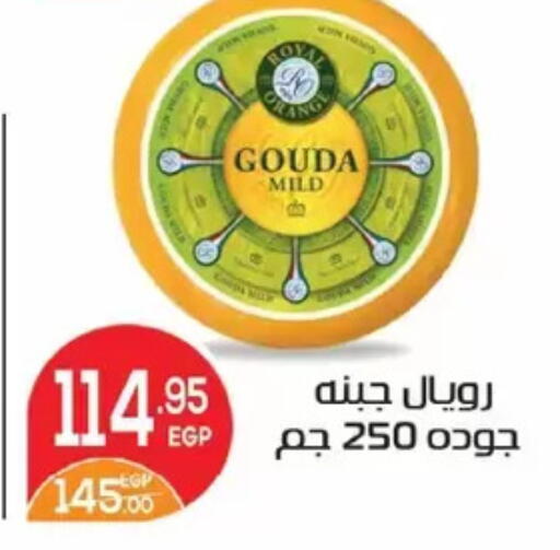 available at Zaher Dairy in Egypt - Cairo
