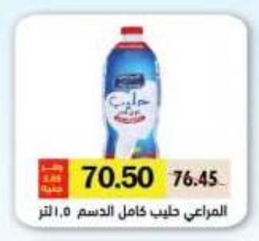 available at رويال هاوس in Egypt - القاهرة