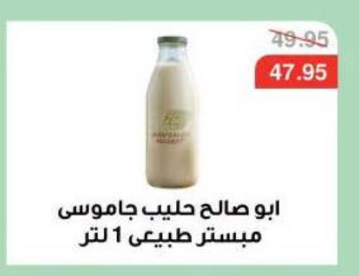 available at Dlina Market in Egypt - Cairo