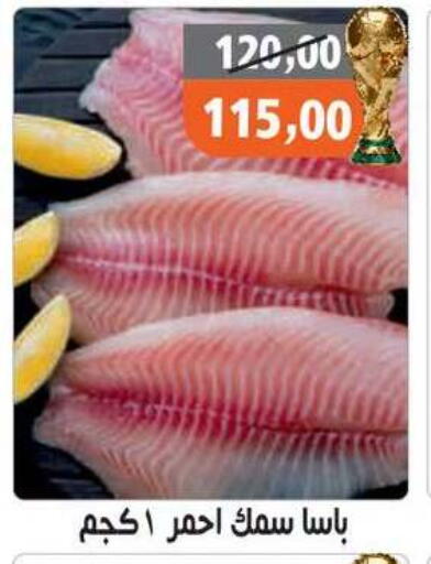 available at Hassan Son's in Egypt - Cairo