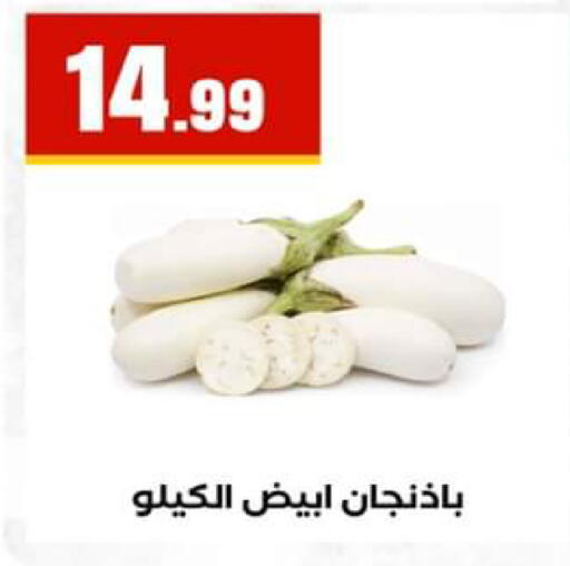 available at El Mahlawy Stores in Egypt - Cairo