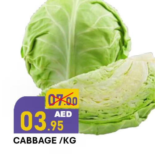 Cabbage available at رويال جلف هايبرماركت in الإمارات العربية المتحدة , الامارات - أبو ظبي