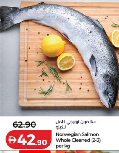 available at لولو هايبرماركت in الإمارات العربية المتحدة , الامارات - رَأْس ٱلْخَيْمَة