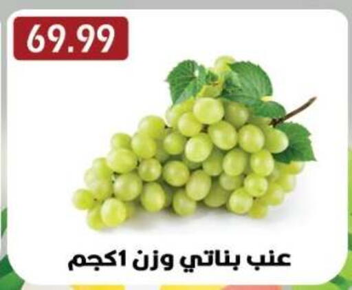 available at Euromarche in Egypt - Cairo