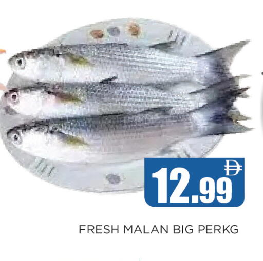 available at Ainas Al madina hypermarket in UAE - Sharjah / Ajman
