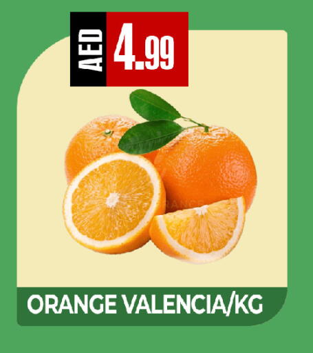Orange available at  RIVIERA SUPERMARKET L.L.C in UAE - Abu Dhabi