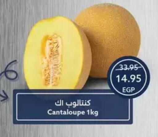 Cantaloupe available at  أوسكار جراند ستورز  in Egypt - القاهرة