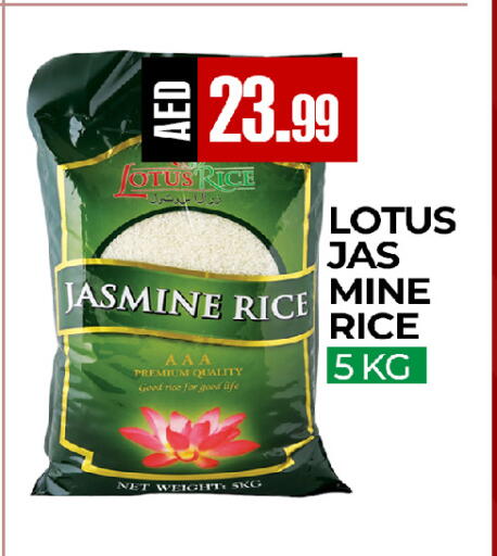 available at  RIVIERA SUPERMARKET L.L.C in UAE - Abu Dhabi