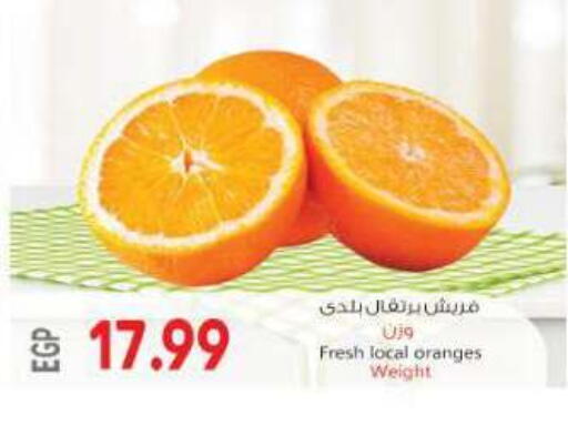 available at New.Penny.market in Egypt - Cairo