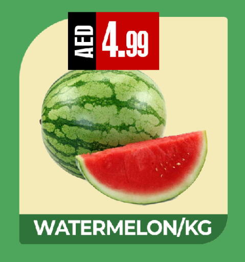 Watermelon available at  RIVIERA SUPERMARKET L.L.C in UAE - Abu Dhabi