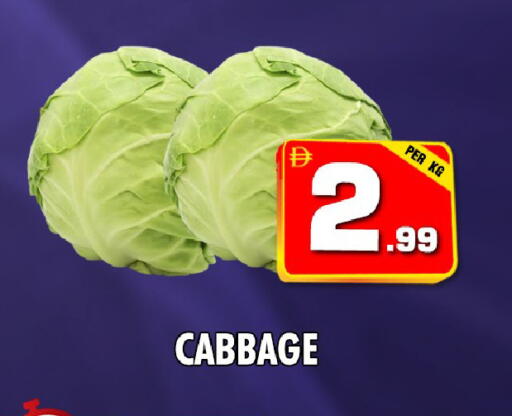 Cabbage available at نايت تو نايت in الإمارات العربية المتحدة , الامارات - دبي