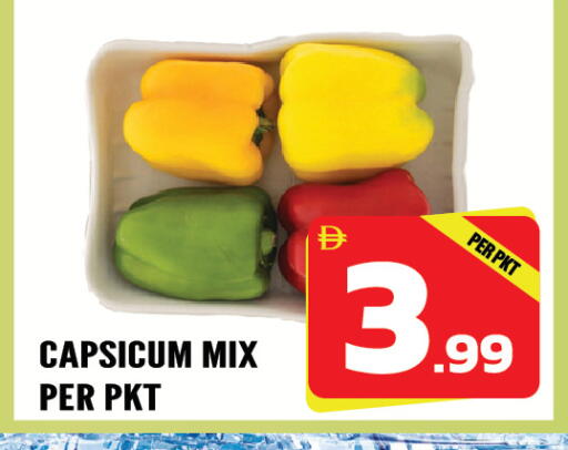 Capsicum available at دريم لاند in الإمارات العربية المتحدة , الامارات - الشارقة / عجمان