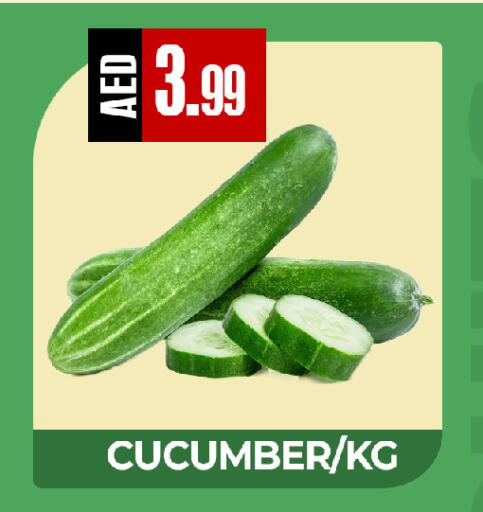 Cucumber available at  RIVIERA SUPERMARKET L.L.C in UAE - Abu Dhabi