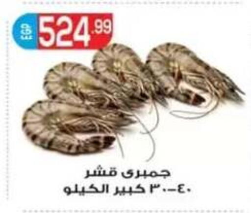 available at أولاد المحاوى in Egypt - القاهرة