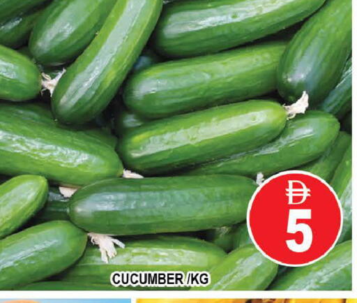 Cucumber available at AL MADINA (Dubai) in UAE - Dubai