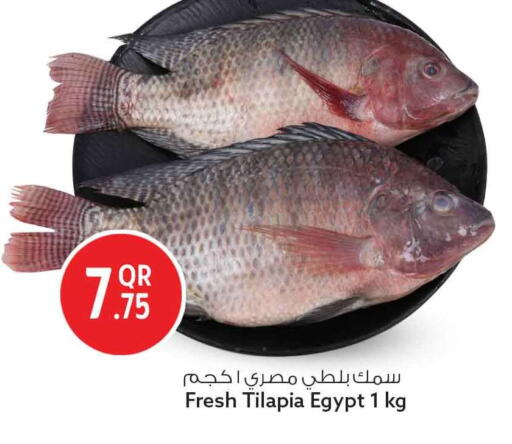 available at Safari Hypermarket in Qatar - Al Shamal