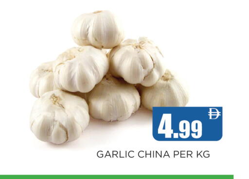 Garlic from China available at Ainas Al madina hypermarket in UAE - Sharjah / Ajman