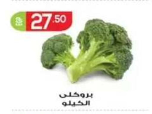 available at أولاد المحاوى in Egypt - القاهرة