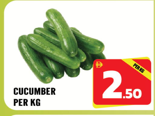 Cucumber available at دريم لاند in الإمارات العربية المتحدة , الامارات - الشارقة / عجمان
