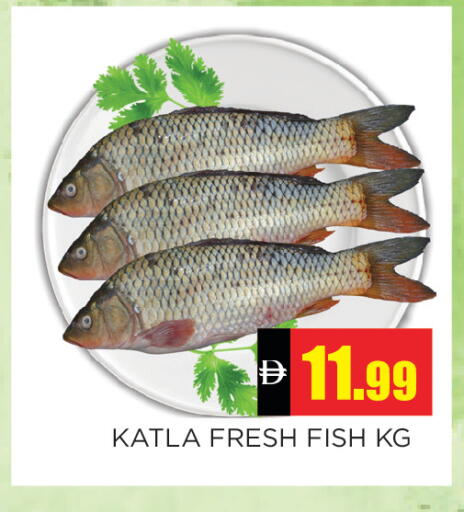 available at Ain Al Madina Hypermarket in UAE - Sharjah / Ajman