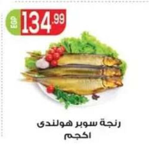 available at أولاد المحاوى in Egypt - القاهرة