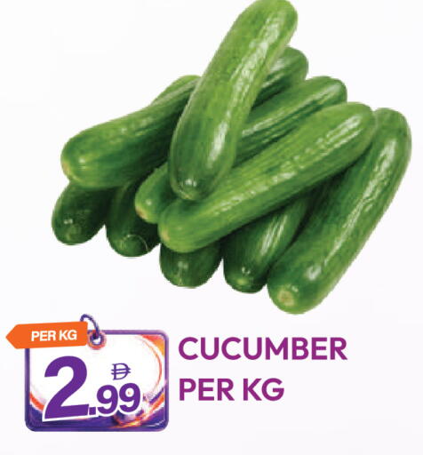 Cucumber available at دريم لاند in الإمارات العربية المتحدة , الامارات - دبي