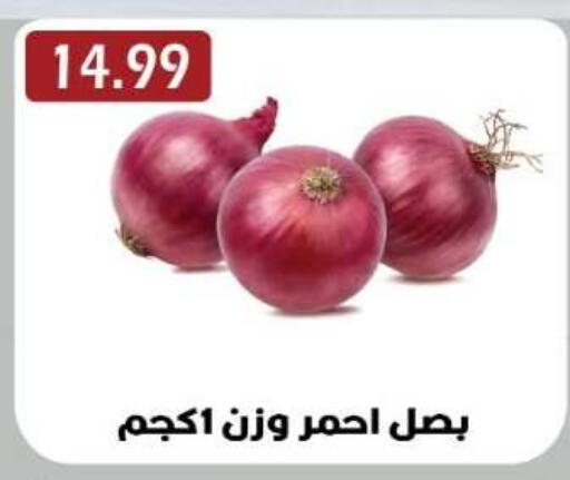 available at Euromarche in Egypt - Cairo