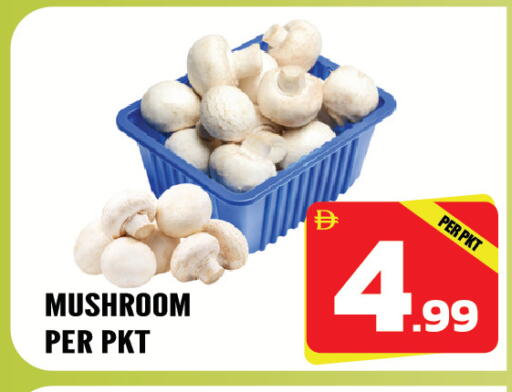 Mushroom available at دريم لاند in الإمارات العربية المتحدة , الامارات - الشارقة / عجمان