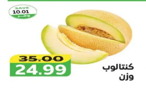 available at The Mart  in Egypt - Cairo
