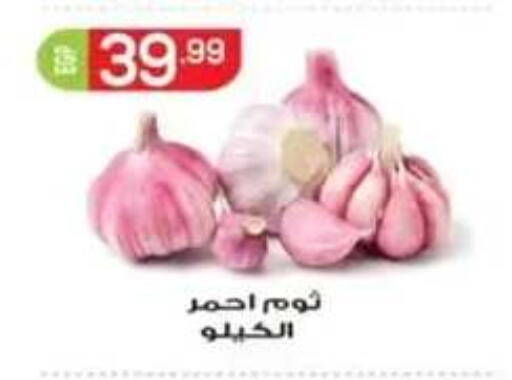 available at أولاد المحاوى in Egypt - القاهرة