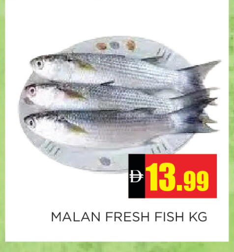 available at Ain Al Madina Hypermarket in UAE - Sharjah / Ajman