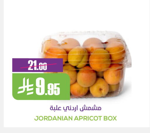 Apricot available at Sapt in KSA, Saudi Arabia, Saudi - Buraidah